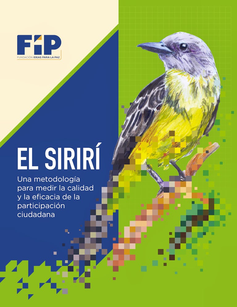 Guía de la metodología desarrollada por la FIP.