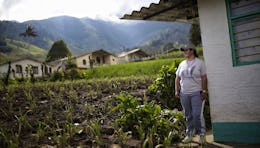 Proyectos productivos sostenibles en el páramo de Las Hermosas, en Tolima.