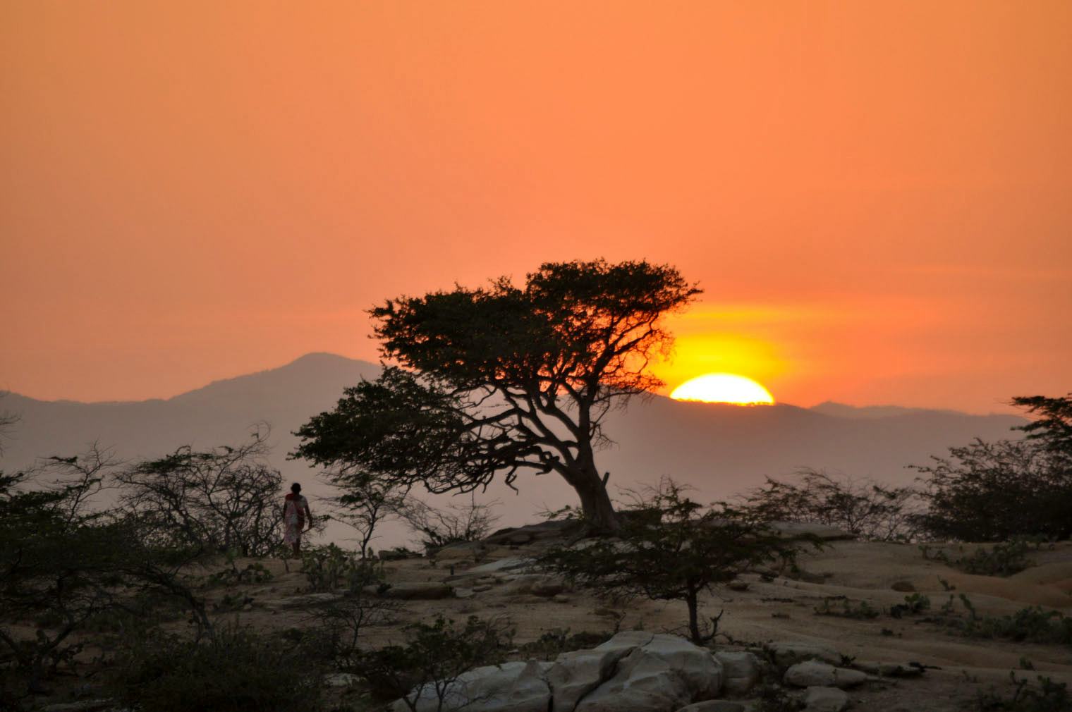 ¿Qué significa para una comunidad ser socia de un proyecto de energía renovable?