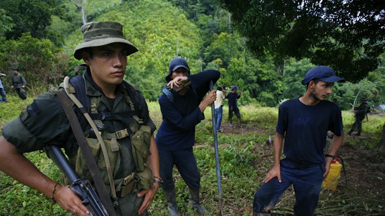 Erradicadores de cultivos de coca durante una jornada.