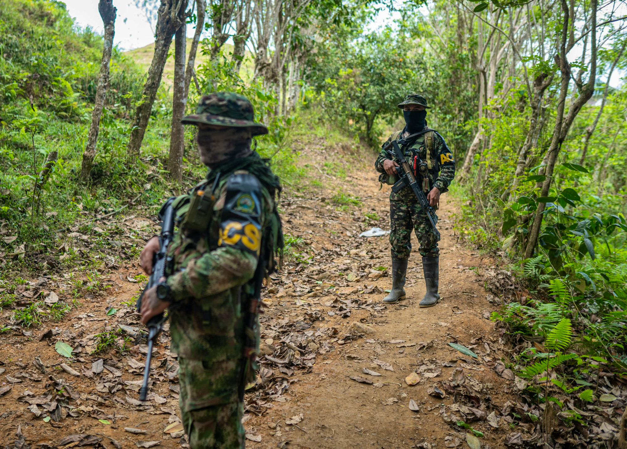 Julián Ríos Monroy