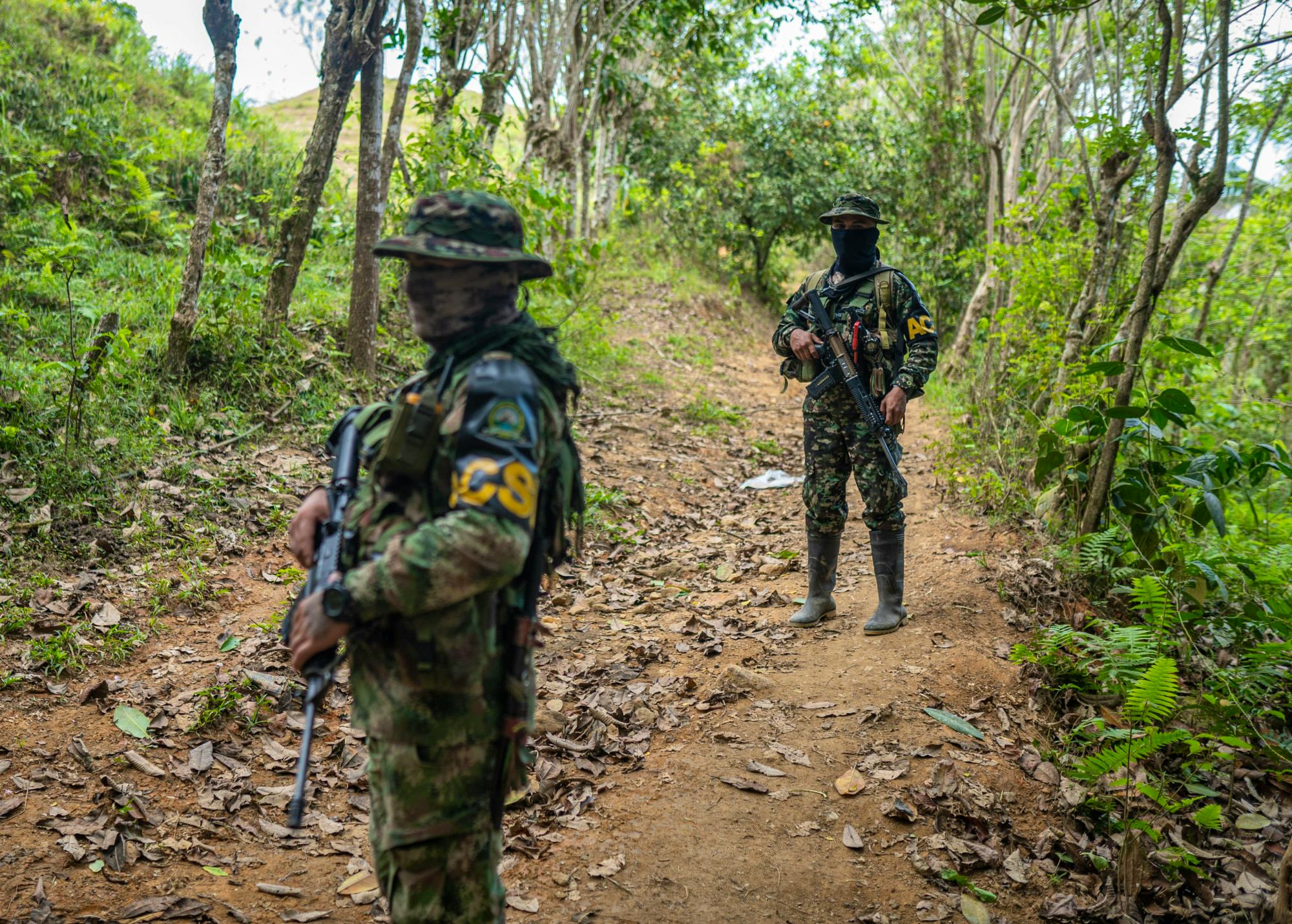 Lo que revela el aumento de 23.5% en integrantes de grupos ilegales